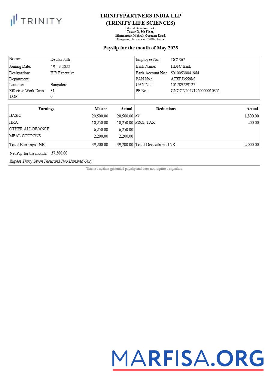 Printable Trinitypartners India real estate payslip real example